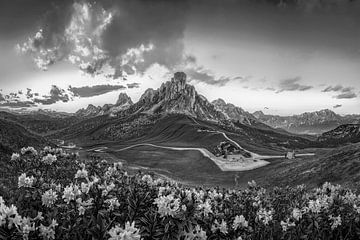 Roses des Alpes au coucher du soleil en noir et blanc sur Manfred Voss, Schwarz-weiss Fotografie