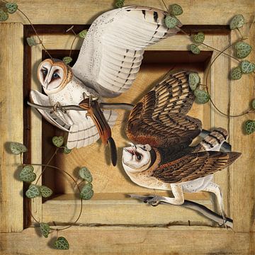 Two Barn Owls by Marja van den Hurk