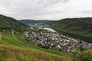 Oberfell aan de Moesel