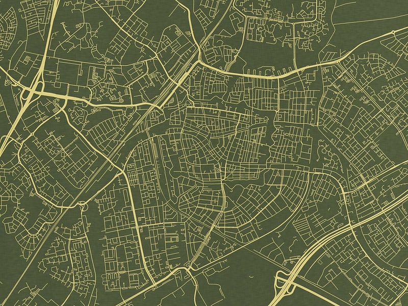 Map of Leiden in Green Gold by De Kaartenwinkel