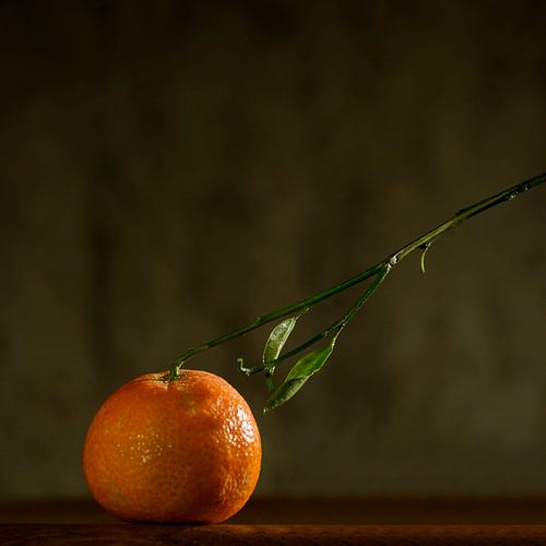 still life with tangerine by Herman Peters