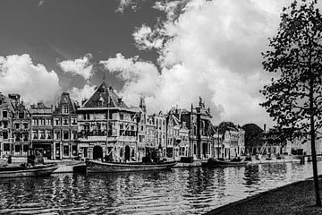 Oud Haarlem met het Spaarne van Brian Morgan