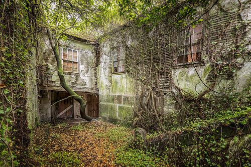 Verloren plaats - Verlaten binnenplaats - De natuur komt terug