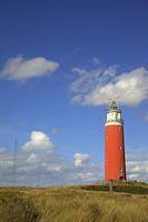Texel