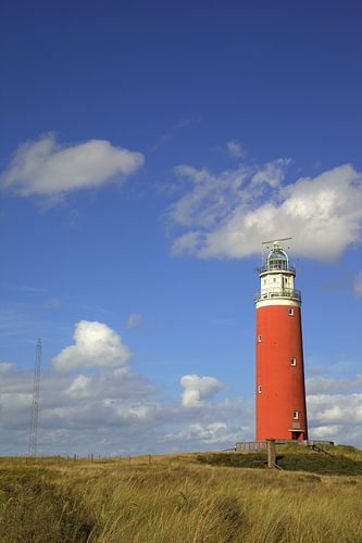 Texel