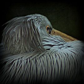 sit and wait by bob van den berg