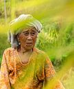 Vrouw Bali van Jeannine Van den Boer thumbnail