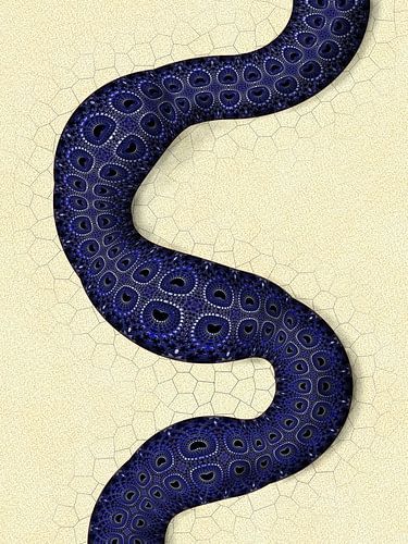 SERPENTIAL AESTHETICS von Elwe