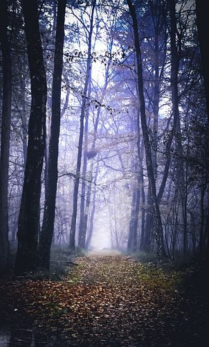 Blättriges Fußbett