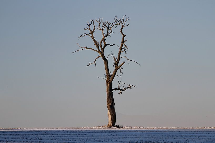 Alter Riese par Erich Werner