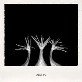 grab it von Jan Windmann