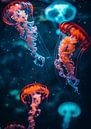 Jellyfish Symphony van Liv ter Riet thumbnail