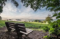 Bank bei Berghäusl an einem Sommermorgen von Berthold Ambros Miniaturansicht