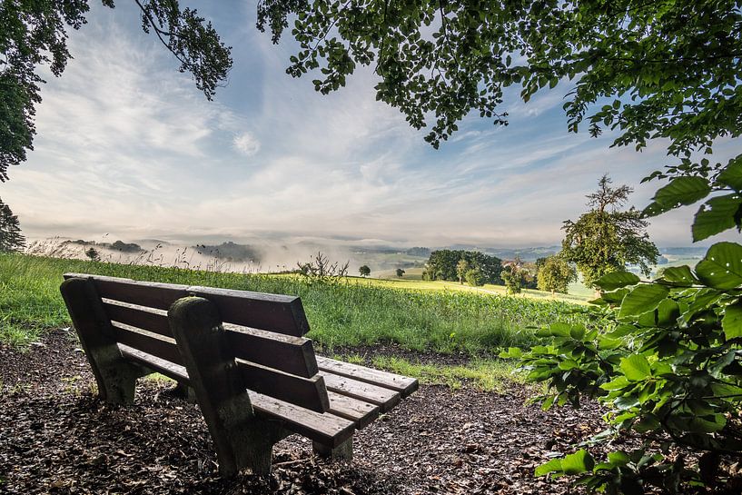 Bench near Berghäusl on a summer morning by Berthold Ambros