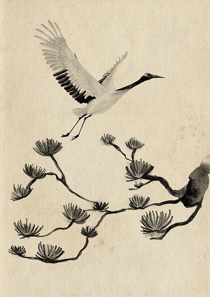 A crane flies up by Lucia