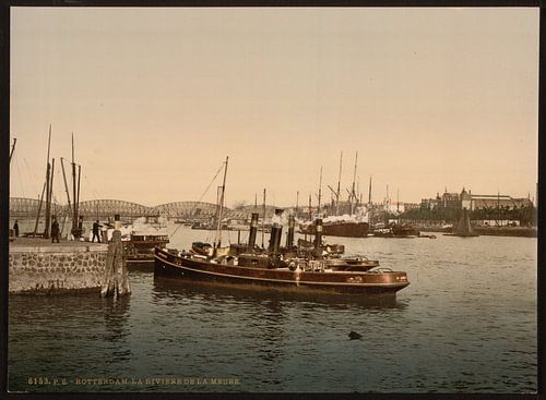 Maas, Rotterdam