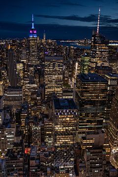 New York City from Top of the Rock (7) by Albert Mendelewski