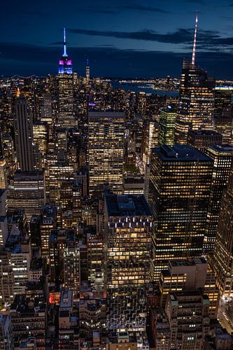 New York City vanaf Top of the Rock (7)