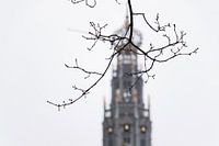 Toren van de Grote Sint Bavokerk in Haarlem, Nederland