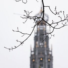 Toren van de Grote Sint Bavokerk in Haarlem, Nederland van Simone Neeling