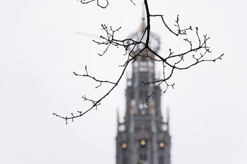 Tour de la Grote Sint Bavokerk à Haarlem, Pays-Bas
