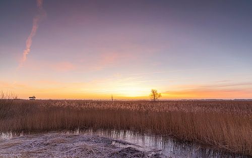 Zuidlaardermeer - Noordlaren (Netherlands)