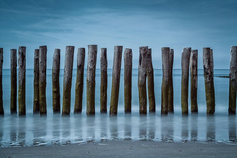 Standing Strong IV by Frank Hoogeboom