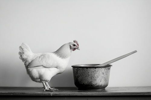 Kip koken