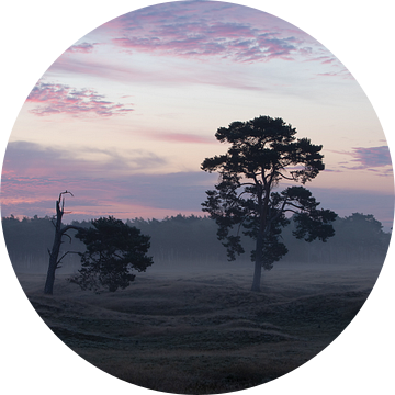 Zonsopkomst boven heiden veld Heidestein Utrechtse Heuvelrug. van Peter Haastrecht, van