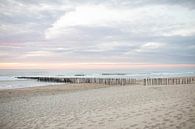 Strand met paalhoofden | Zeeuwse kust van Andrea Labeur thumbnail