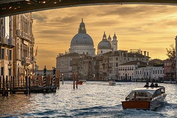 Venedig Basilica di Santa Maria della Salute von Kurt Krause