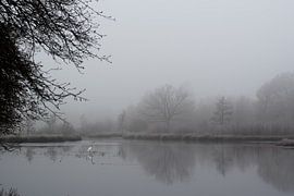 natuurlandschap von Patricia van Loock