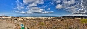 Panorama van de duinen
