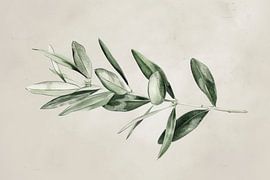 Olive branch by Poster Art Shop