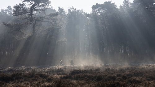 Fietsers in de ochtendmist
