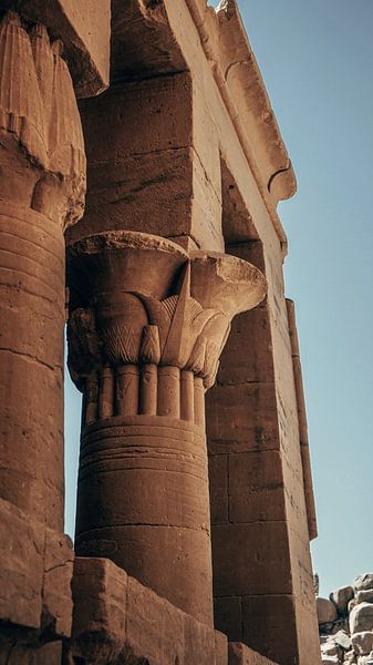 egypt by matt landsman
