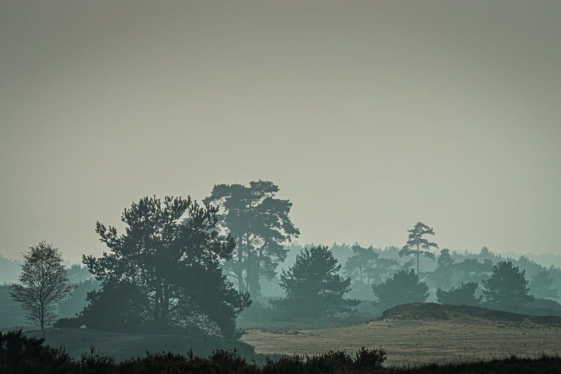 Paysage de Couliss Veluwe par Mischa Corsius
