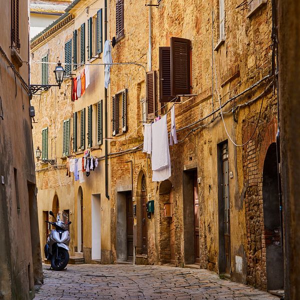 Hanging out to dry by Graham Forrester