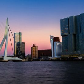 Erasmusbrücke Rotterdam in der Abenddämmerung von Esmée Fotografeert