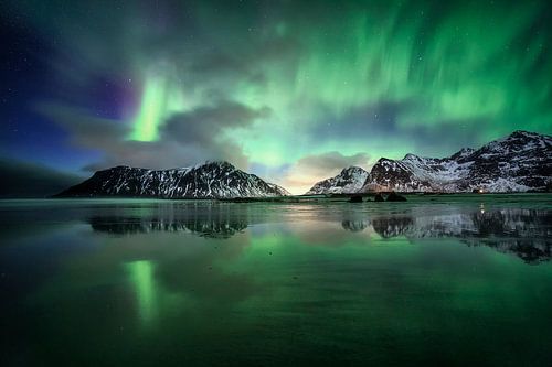 Show  of nature by Sven Broeckx