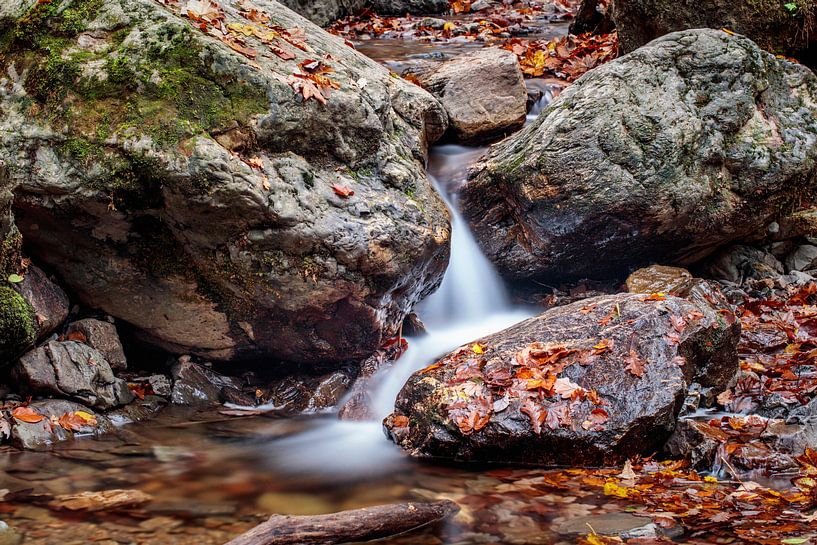 Ninglinspo by Rob Boon