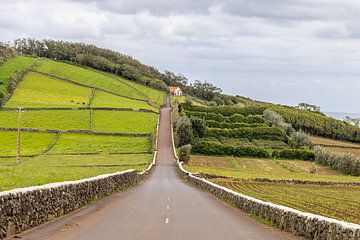 Mittelmaß der Straße von Anja van de Laar