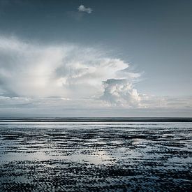 Seelandschaft bei Wadden von Nanouk el Gamal - Wijchers (Photonook)