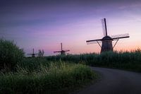 Mühlen Kinderdijk
