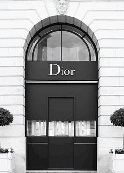 Dior winkel ingang