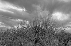 Wüstenstille unter bedrohlichem Himmel