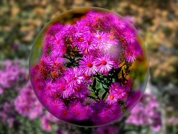 Roze bloemen van Leopold Brix
