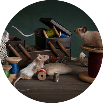 Assepoester. Stilleven met muis / muizen. van Elles Rijsdijk