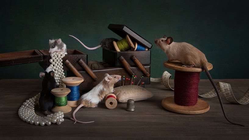 Aschenputtel von Elles Rijsdijk