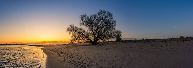 Waalstrand day and night by Jeroen Lagerwerf